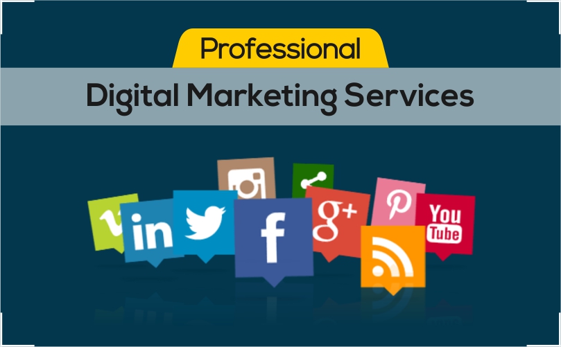 freelance seo services in hyderabad